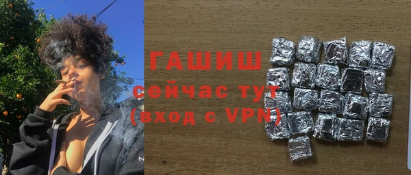 индика Абинск