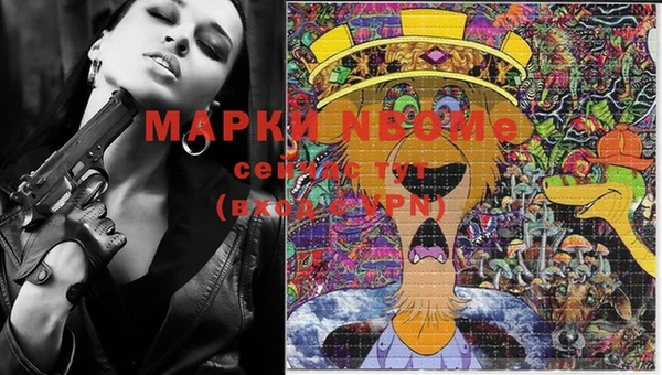 индика Абинск