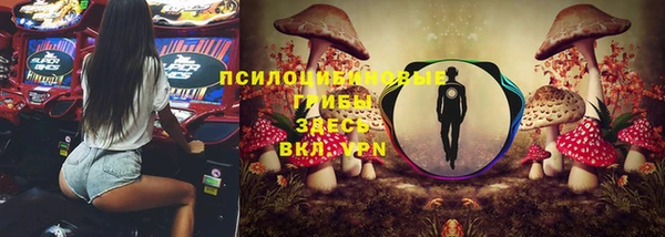 mix Абаза