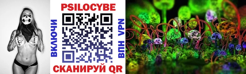 где продают наркотики  Алатырь  Псилоцибиновые грибы прущие грибы 